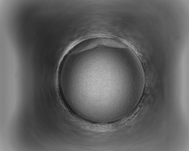 X0000115390008200911101501