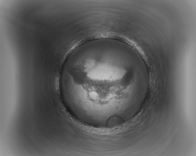 X0000115390010200911101501