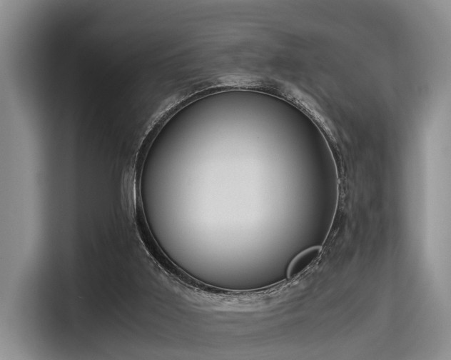 X0000115390011200911101501