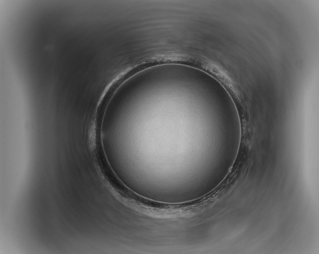 X0000115390012200911101501