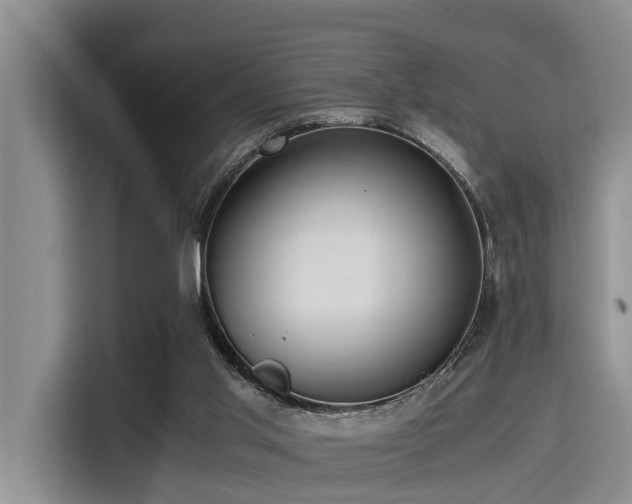 X0000115390013200911101501