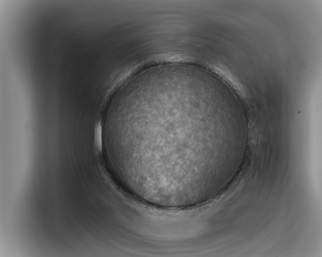 X0000115390014200911101501