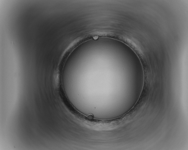 X0000115390016200911101501