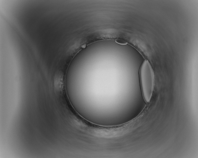 X0000115390017200911101501