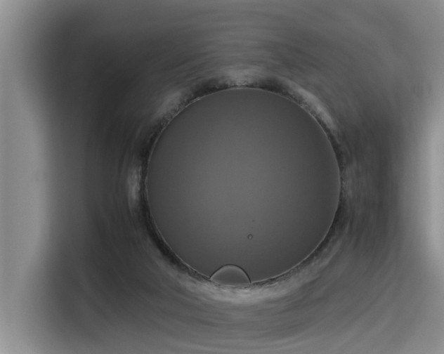 X0000115390018200911101501