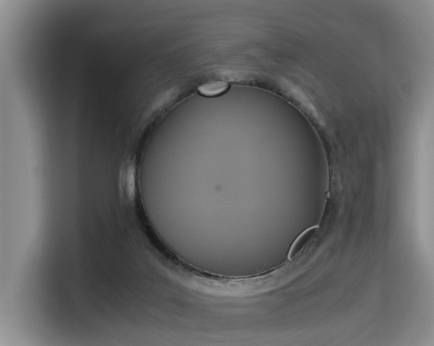 X0000115390019200911101501