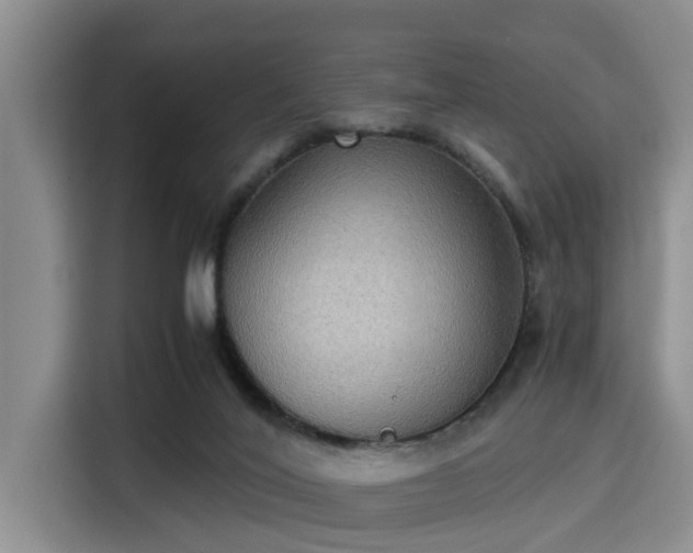 X0000115390020200911101501