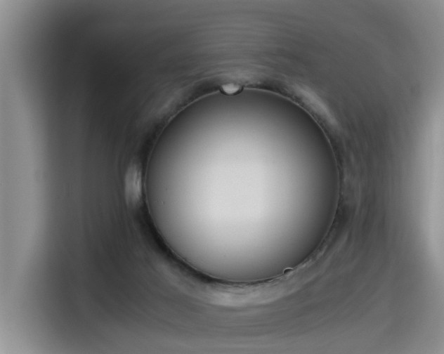 X0000115390021200911101501