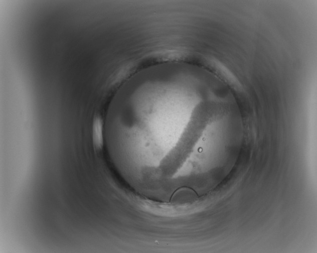 X0000115390022200911101501