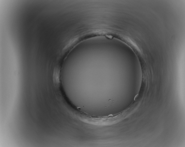 X0000115390023200911101501