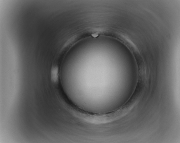 X0000115390024200911101501