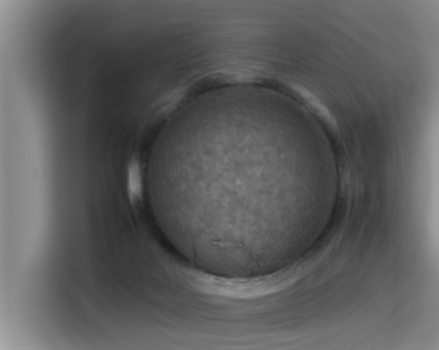 X0000115390026200911101501