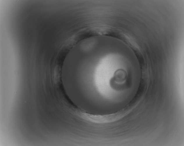 X0000115390030200911101501