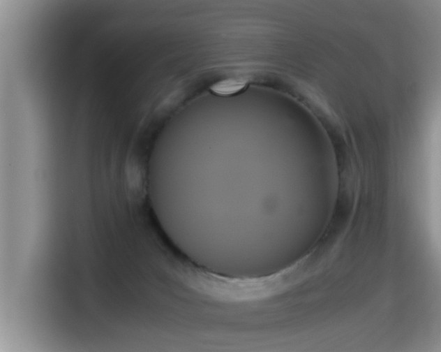 X0000115390031200911101501