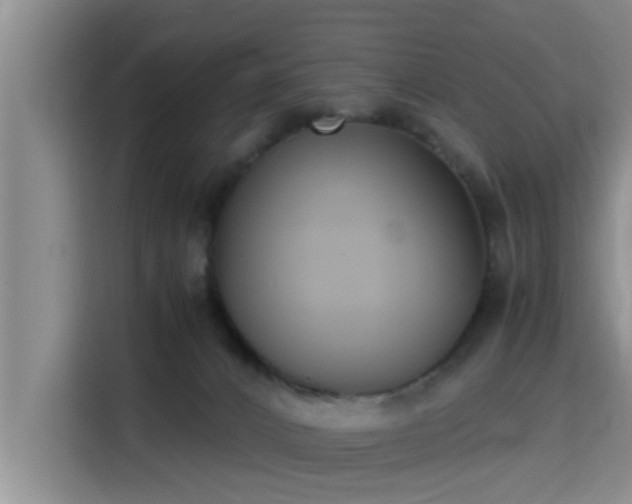 X0000115390032200911101501