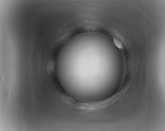 X0000115390033200911101501