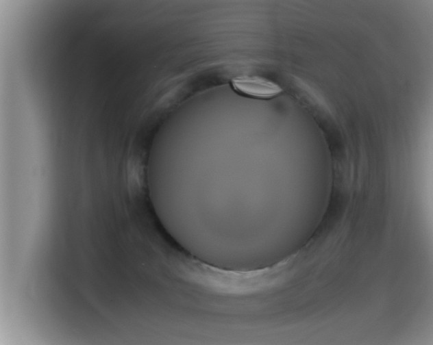 X0000115390035200911101501