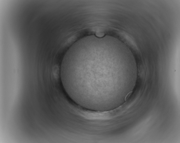 X0000115390036200911101501