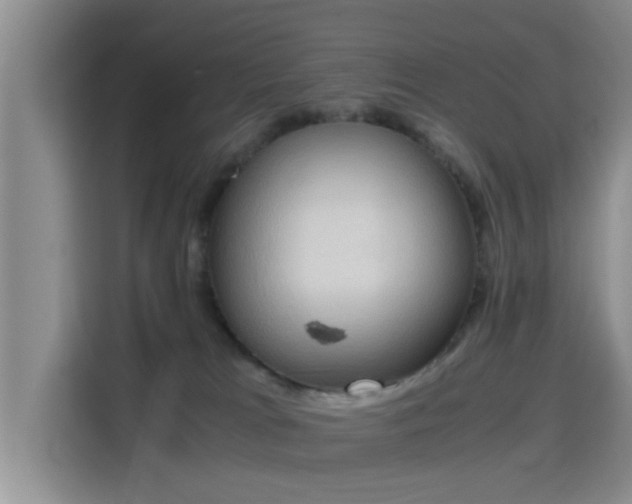 X0000115390037200911101501