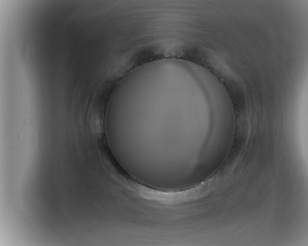 X0000115390039200911101501