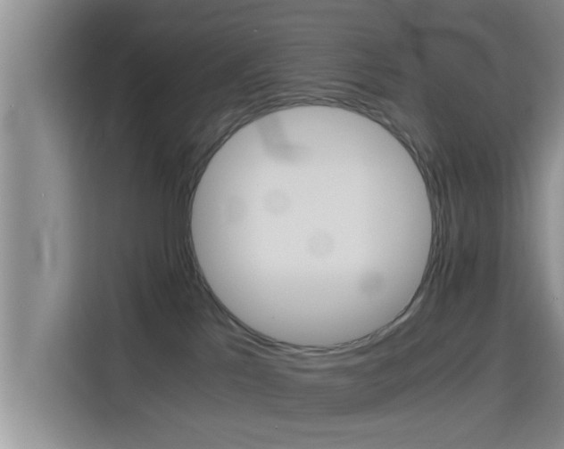 X0000115390041200911101501