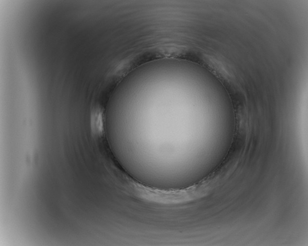 X0000115390042200911101501