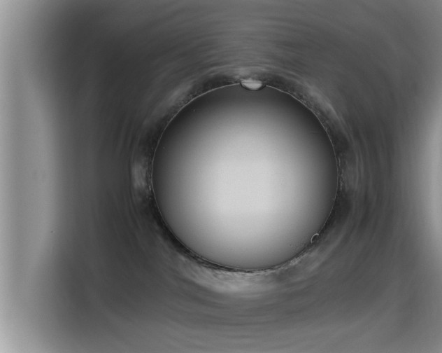 X0000115390044200911101501