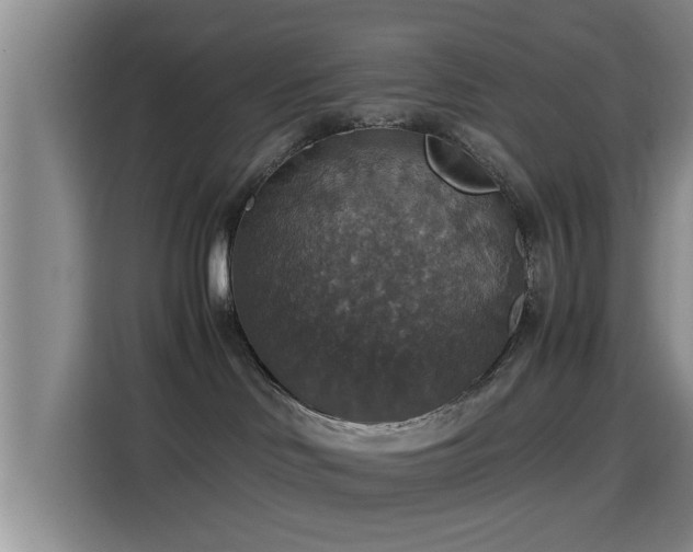 X0000115390046200911101501