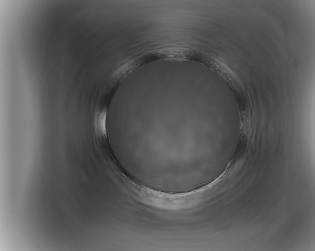 X0000115390047200911101501