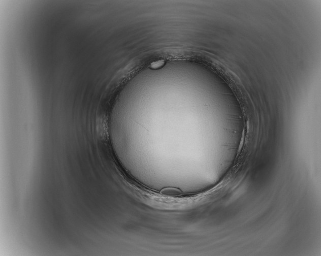 X0000115390048200911101501