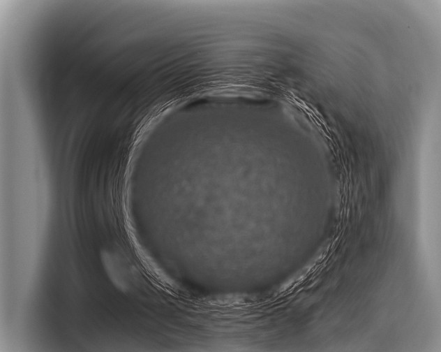 X0000115390049200911101500