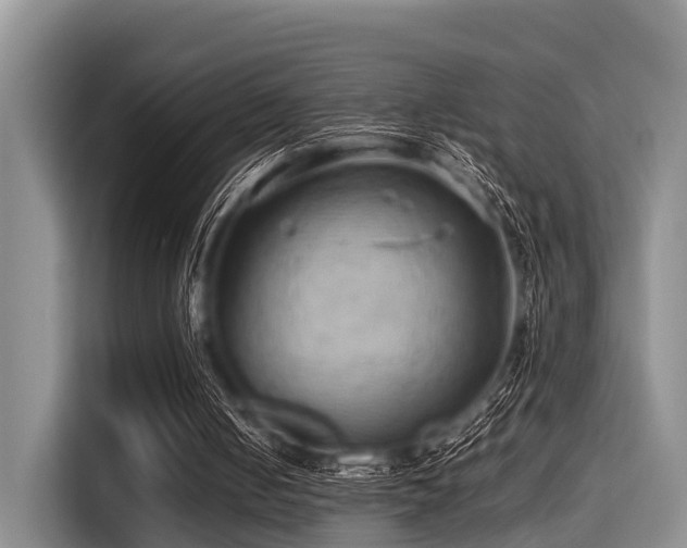 X0000115390050200911101500