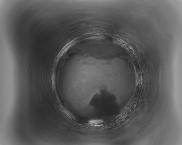 X0000115390051200911101500