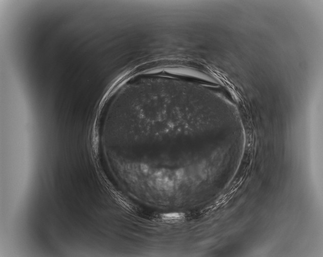 X0000115390053200911101500