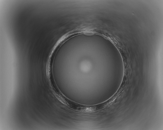 X0000115390056200911101500