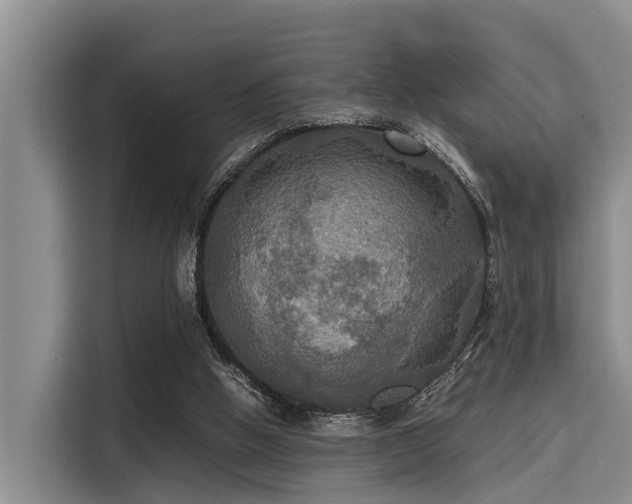 X0000115390058200911101500