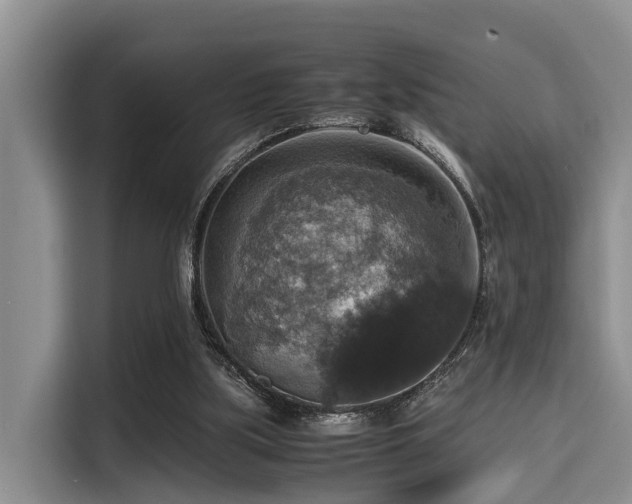 X0000115390059200911101500