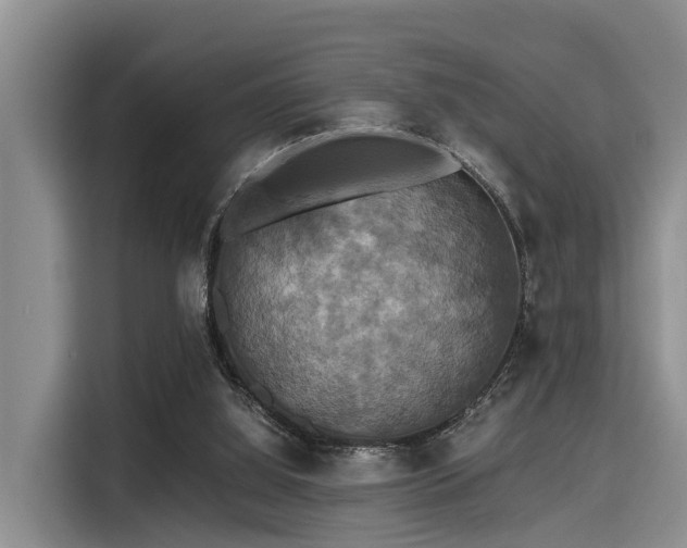 X0000115390060200911101500