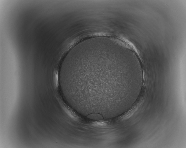 X0000115390061200911101500