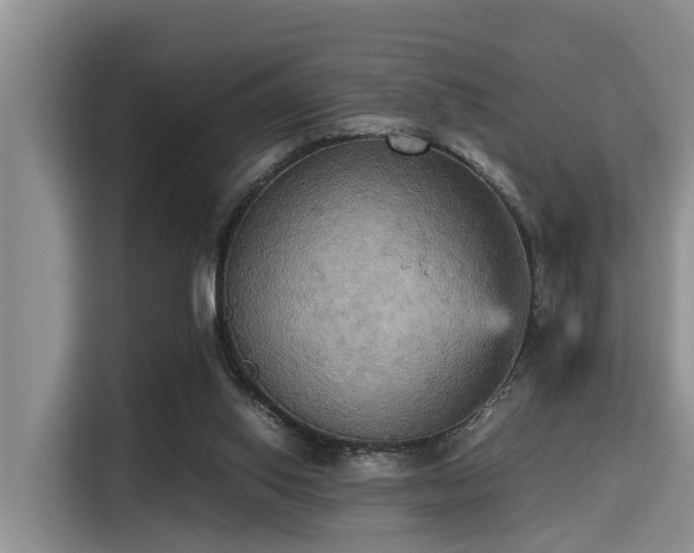 X0000115390062200911101500