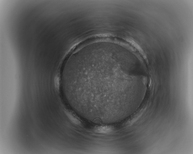 X0000115390063200911101500