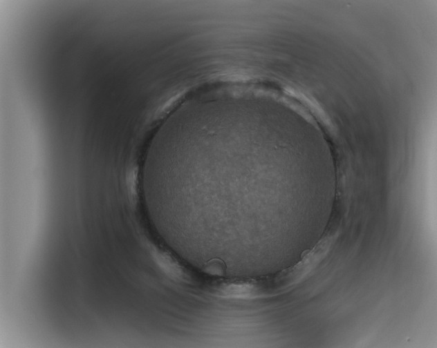 X0000115390066200911101500