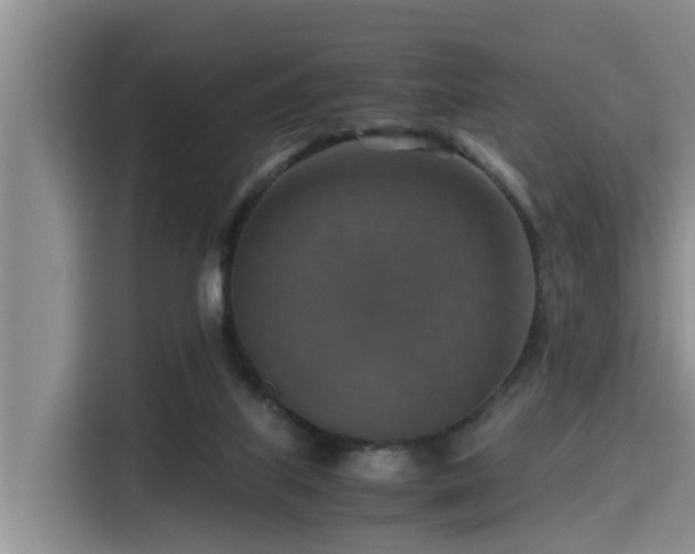 X0000115390067200911101500