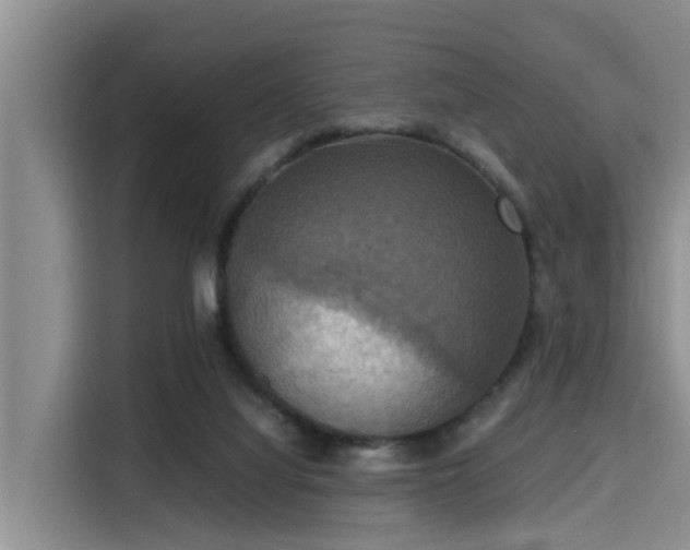 X0000115390068200911101500