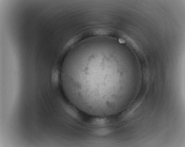 X0000115390071200911101500