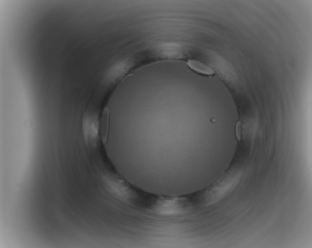 X0000115390072200911101500