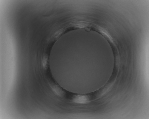 X0000115390073200911101500