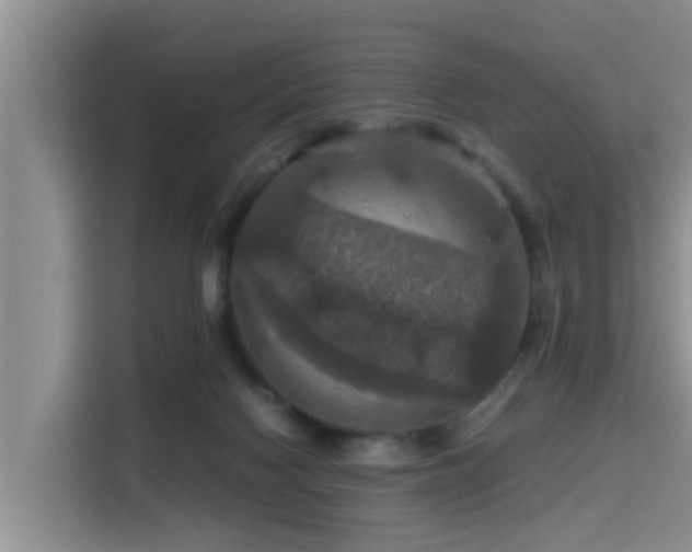 X0000115390074200911101500