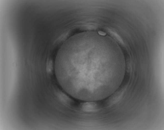 X0000115390077200911101501