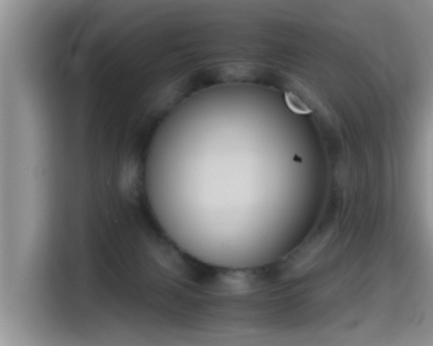 X0000115390079200911101501